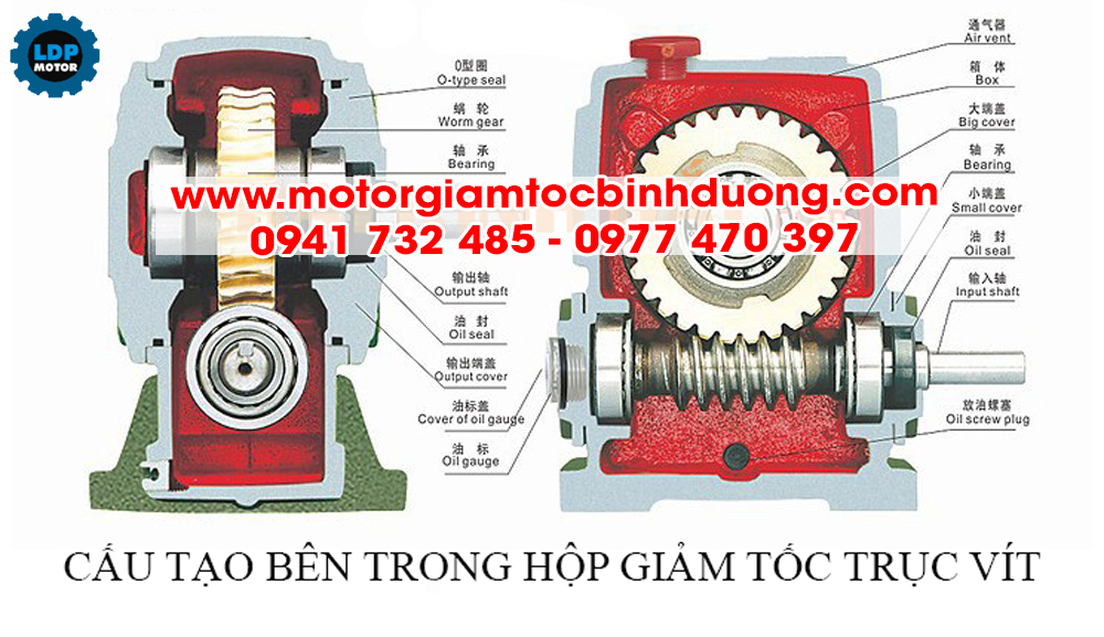 cau-tao-ben-trong-hop-so-giam-toc-truc-vit-banh-vit