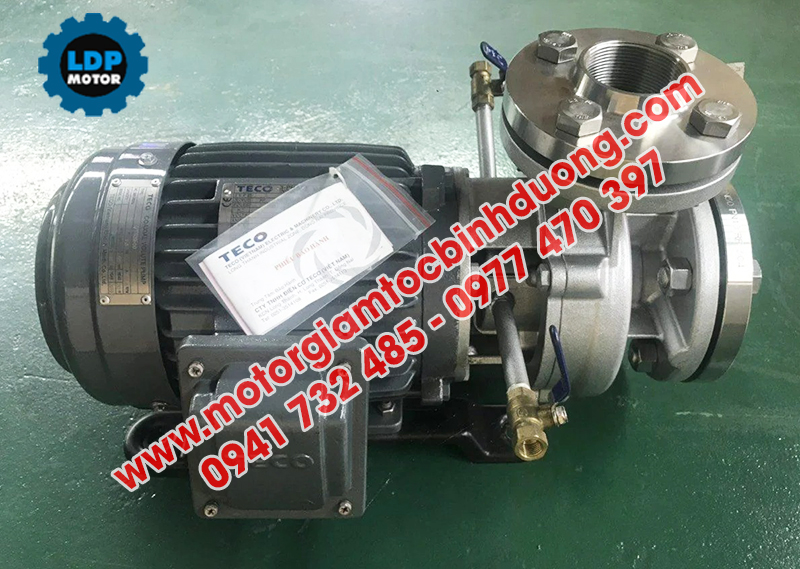 bom-nuoc-teco-dau-inox-gia-re