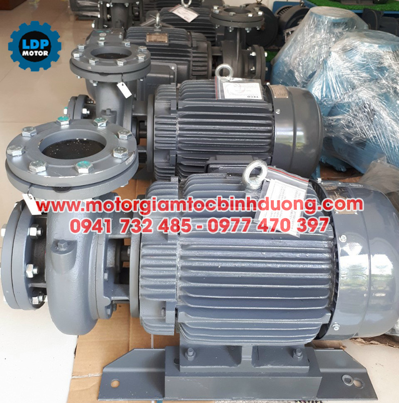 Phân phối máy bơm nước Teco chính hãng, giá tốt tại Bình Dương