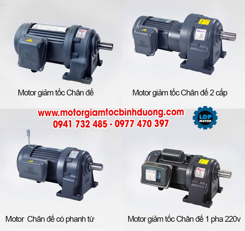 Chuyên cung cấp các loại motor giảm tốc chân đế - Linh Duy Phát