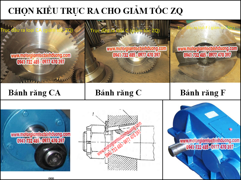 kieu-truc-ra-cho-giam-toc-zq-500