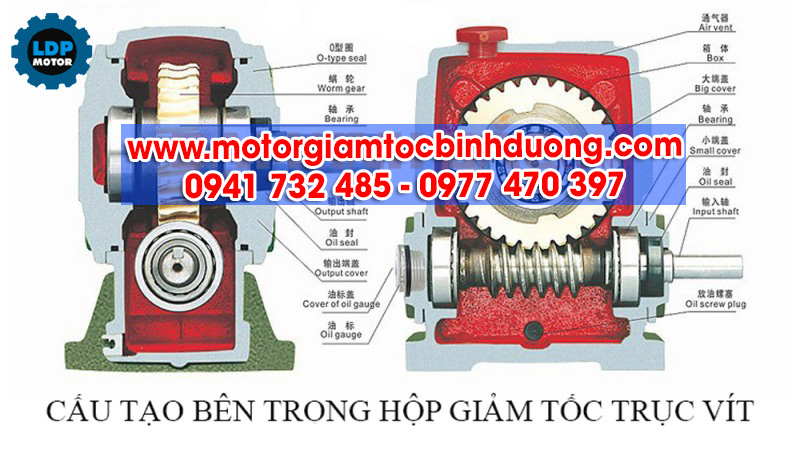 cau-tao-hop-so-giam-toc-truc-vit-banh-vit