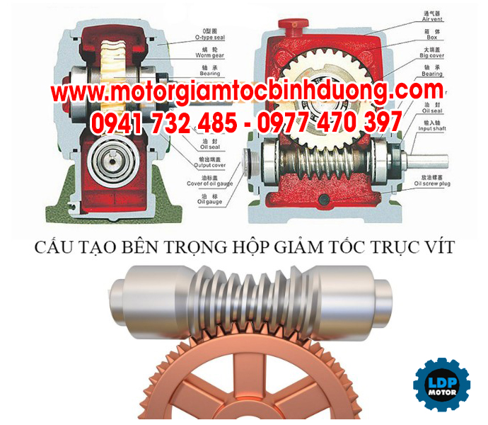 cau-tao-hop-giam-toc-vuong-goc-truc-vit-banh-vit