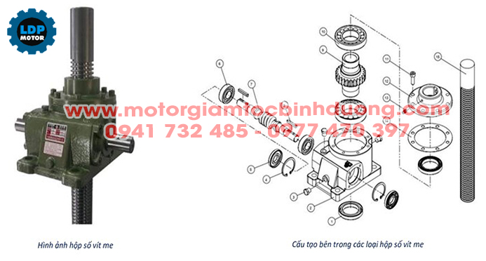 Cung cấp hộp giảm tốc vít me nâng hạ giá tốt - Linh Duy Phát