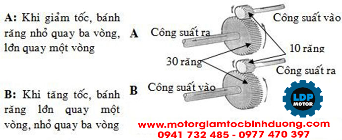 nguyen-ly-hoat-dong-cua-hop-giam-toc