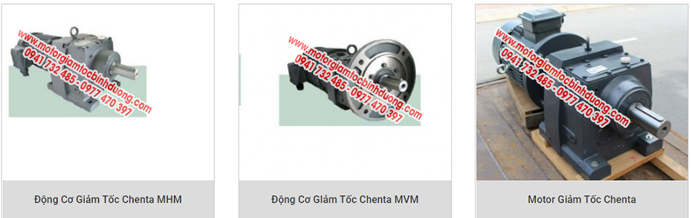 motor-giam-toc-chenta-2