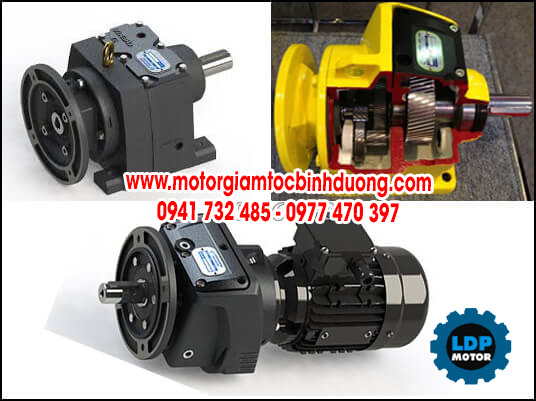 Cung cấp motor giảm tốc Chenta với giá tốt nhất ✅ [GỌI NGAY]