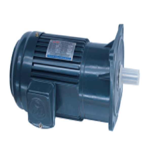 Motor giảm tốc Dolin 02