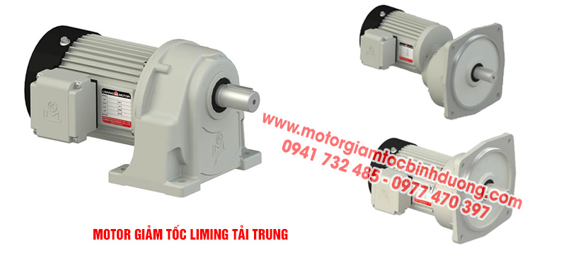 motor-giam-toc-liming-tai-trung