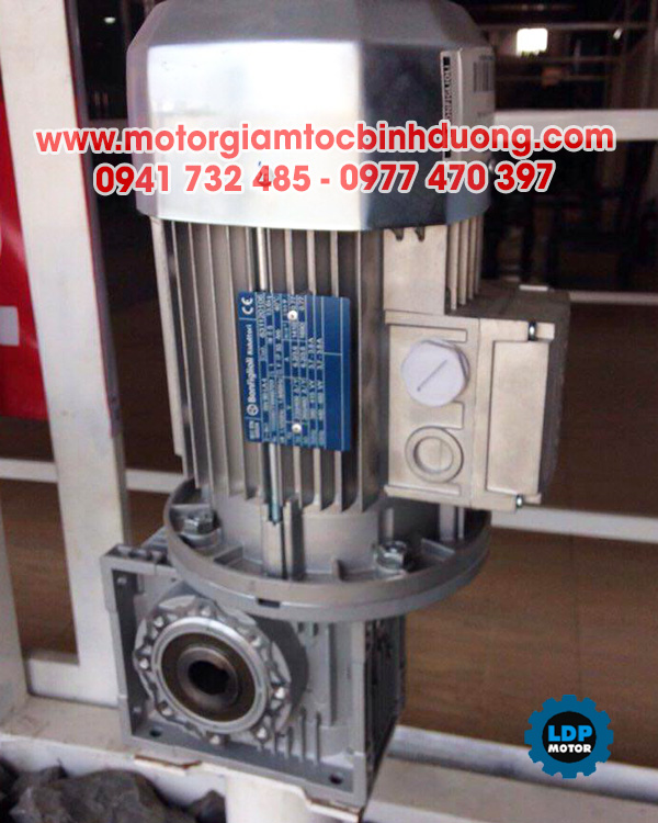 Cung cấp motor giảm tốc cốt âm uy tín, giá tốt