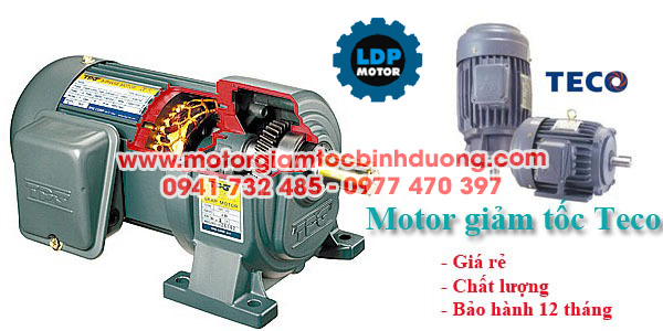 cau-tao-motor-giam-toc-teco