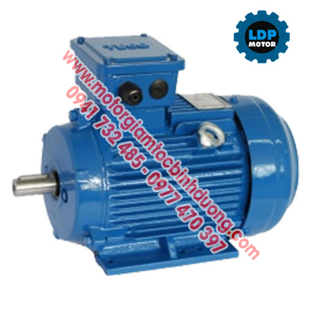 motor-dien-teco-3-pha