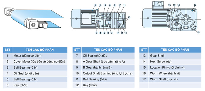 cau-tao-motor-giam-toc-tunglee