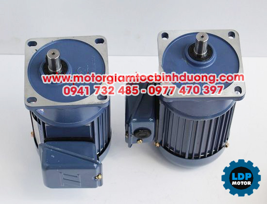 Motor giảm tốc Tunglee chân đế và mặt bích