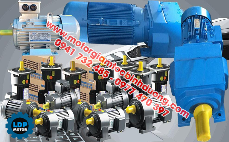 motor-giam-toc-dai-loan