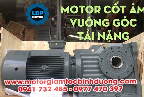 Cung cấp motor giảm tốc cốt âm ✅ [GIÁ RẺ] & [CHẤT LƯỢNG CAO]