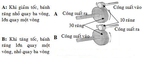 nguyen-ly-hoat-dong-cua-hop-so-giam-toc